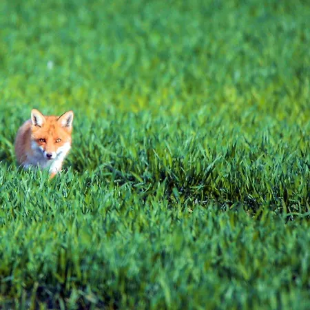 Ferienwohnung Klocksin * Klocksin